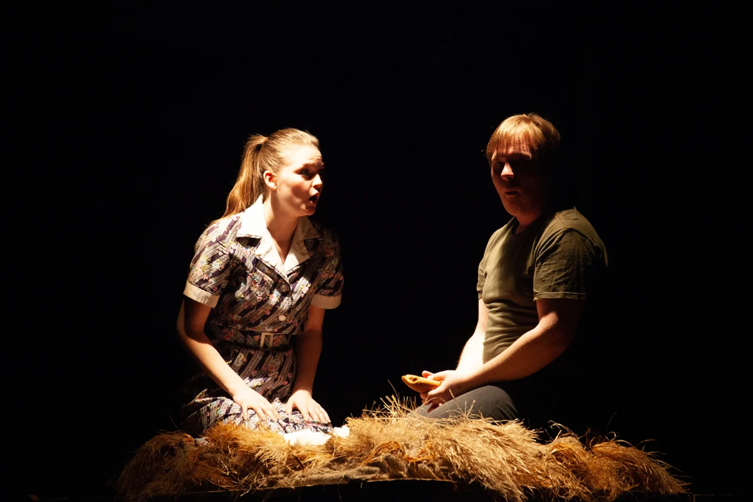 совсем простая история спектакль. дмитровский драматический театр «большое гнездо» холл. очень простая история. спектакль простая история. ладо.