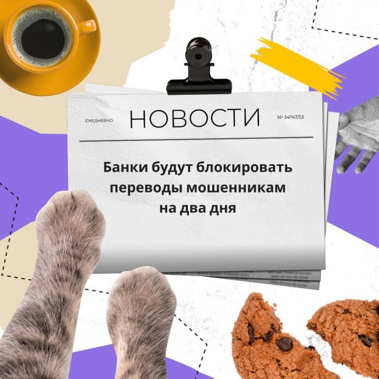 Вместе с Социальным фондом РФ рассказываем о новой хитрости мошенников